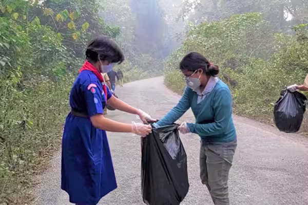 Forest Cleaning