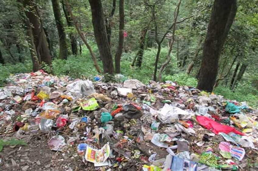 FOREST CLEANING - GARUMARA NATIONAL PARK