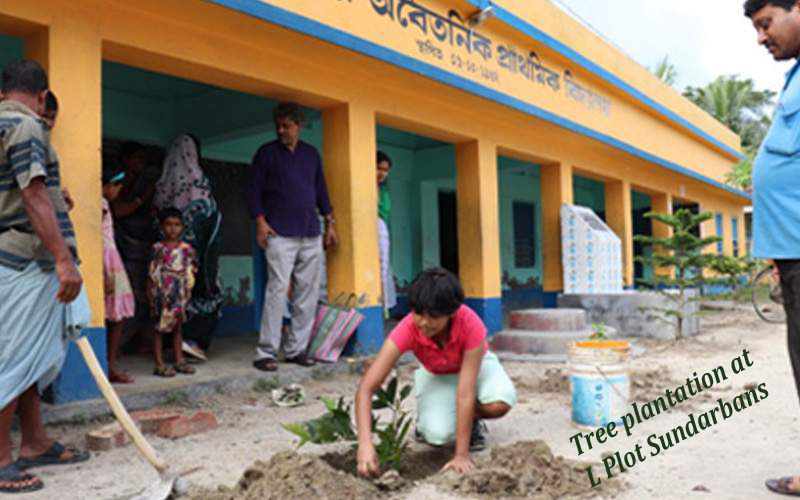 Tree Plantation at L Plot Sundarbans